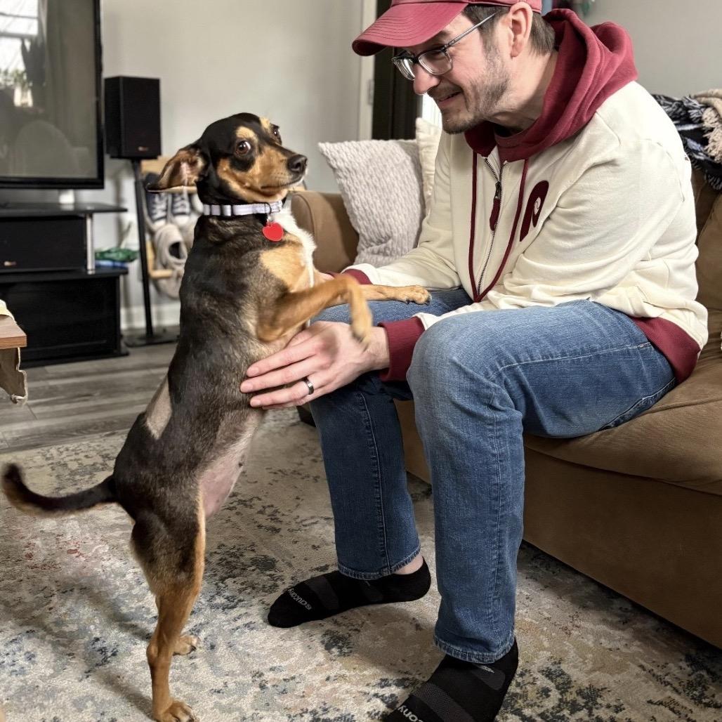 Enlarge SOJOURN, a Adoptable mixed breed in Berlin, NJ image 4/6