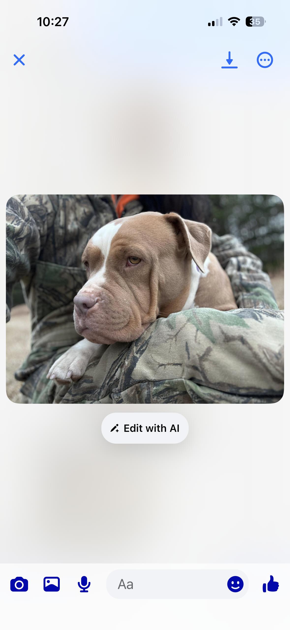 Shirley, a Adoptable Pit Bull Terrier in Mint Hill, NC image 3/3