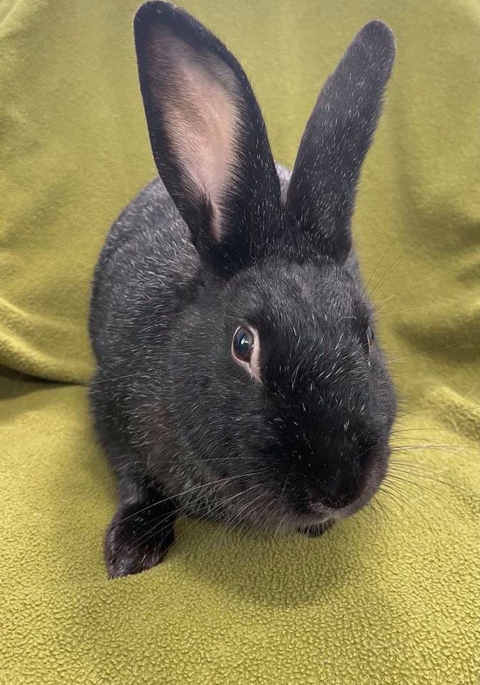 Tim *In Foster Care*