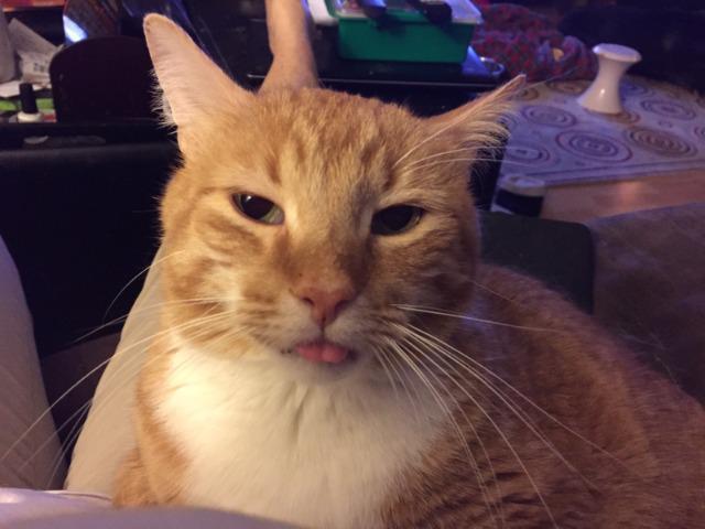 Dustin (fka Destin) — thumbnail 3