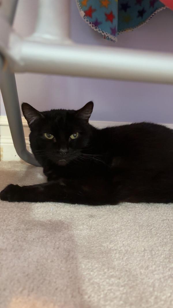 Cherry — thumbnail 5