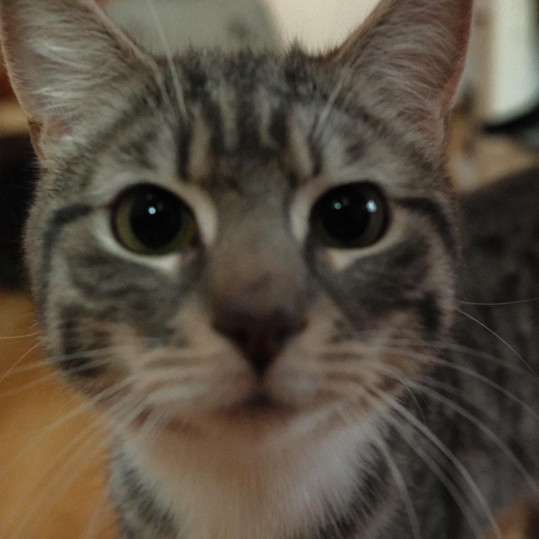 Kiko