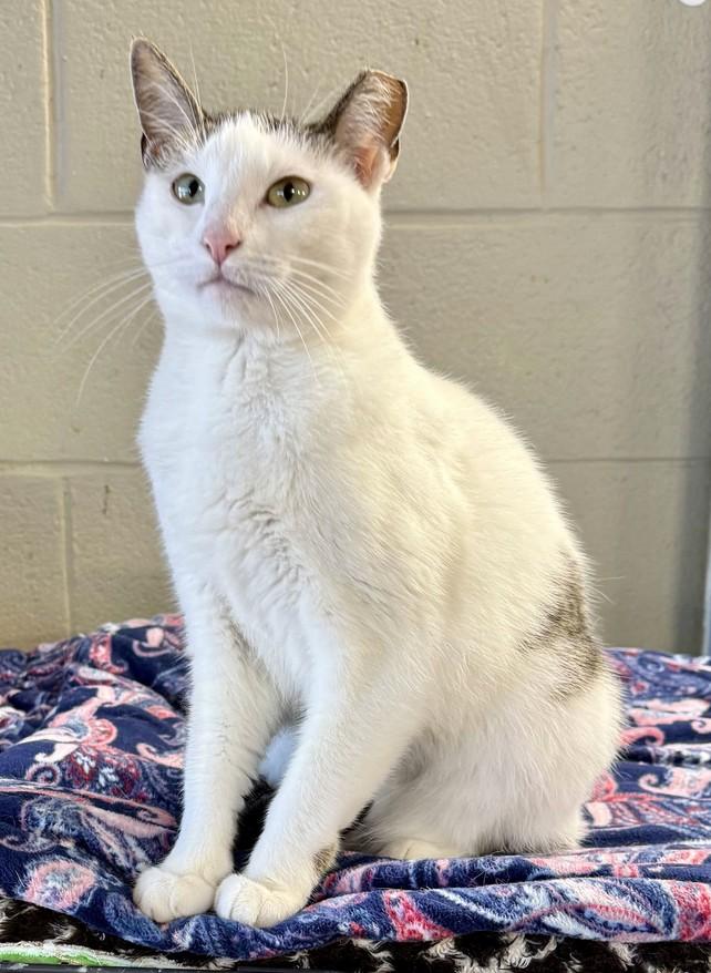 Penelope