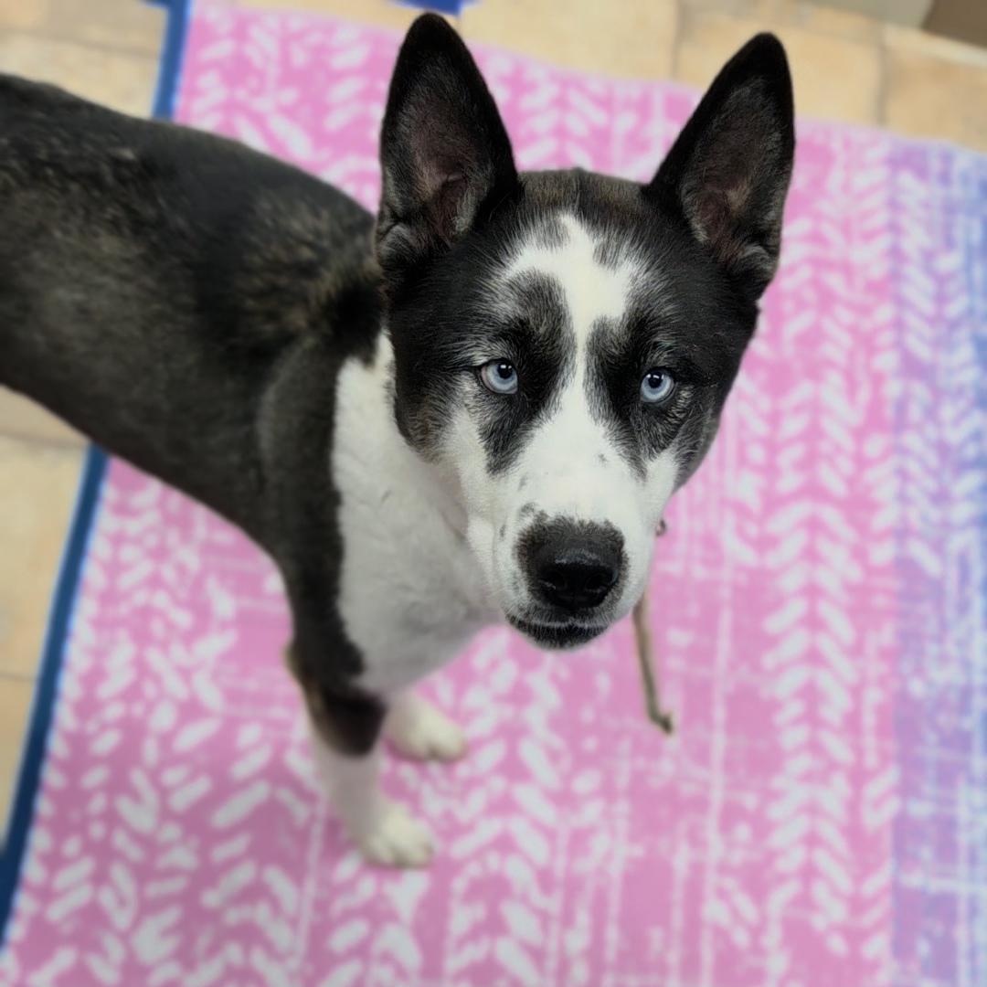 Ruby photo