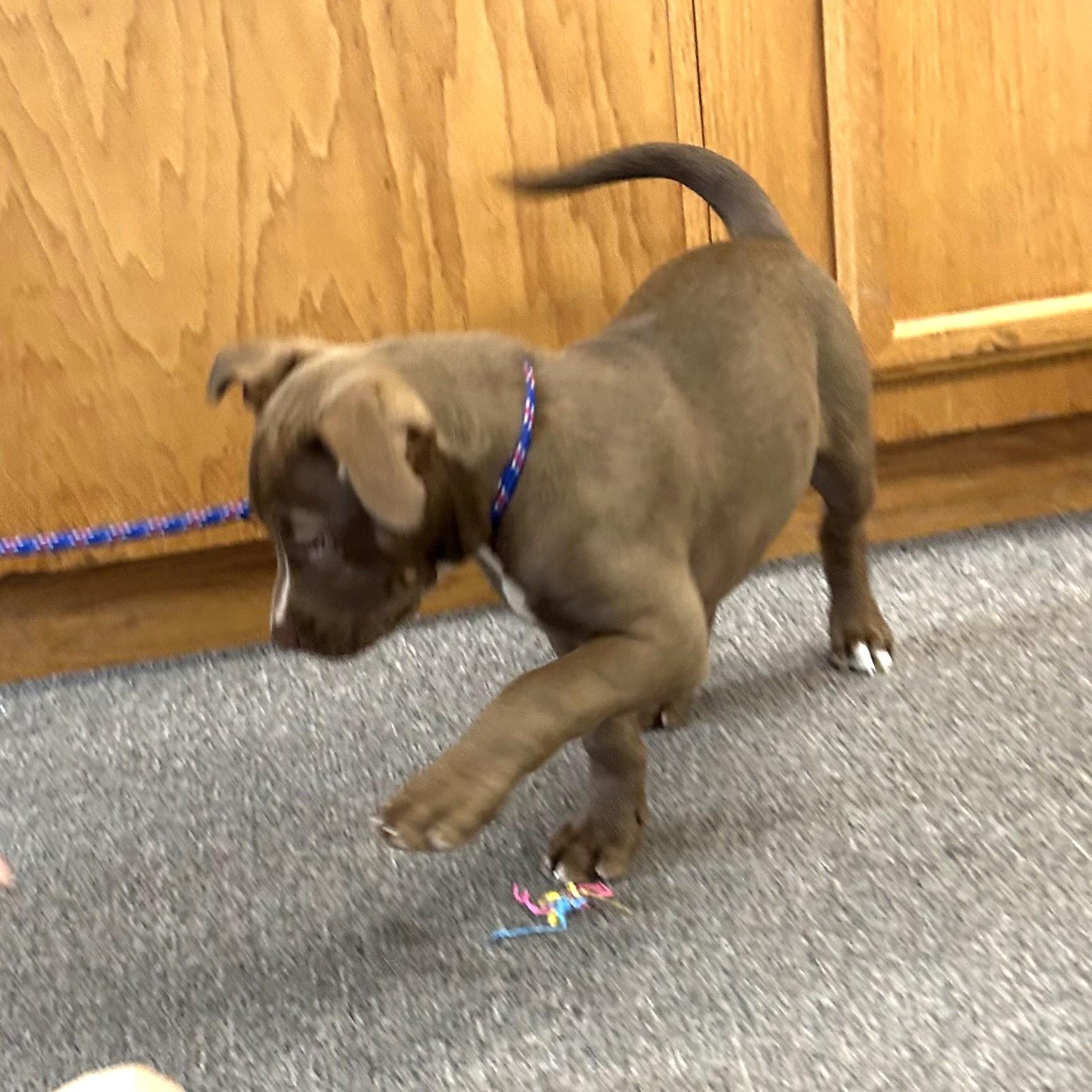 Winnie