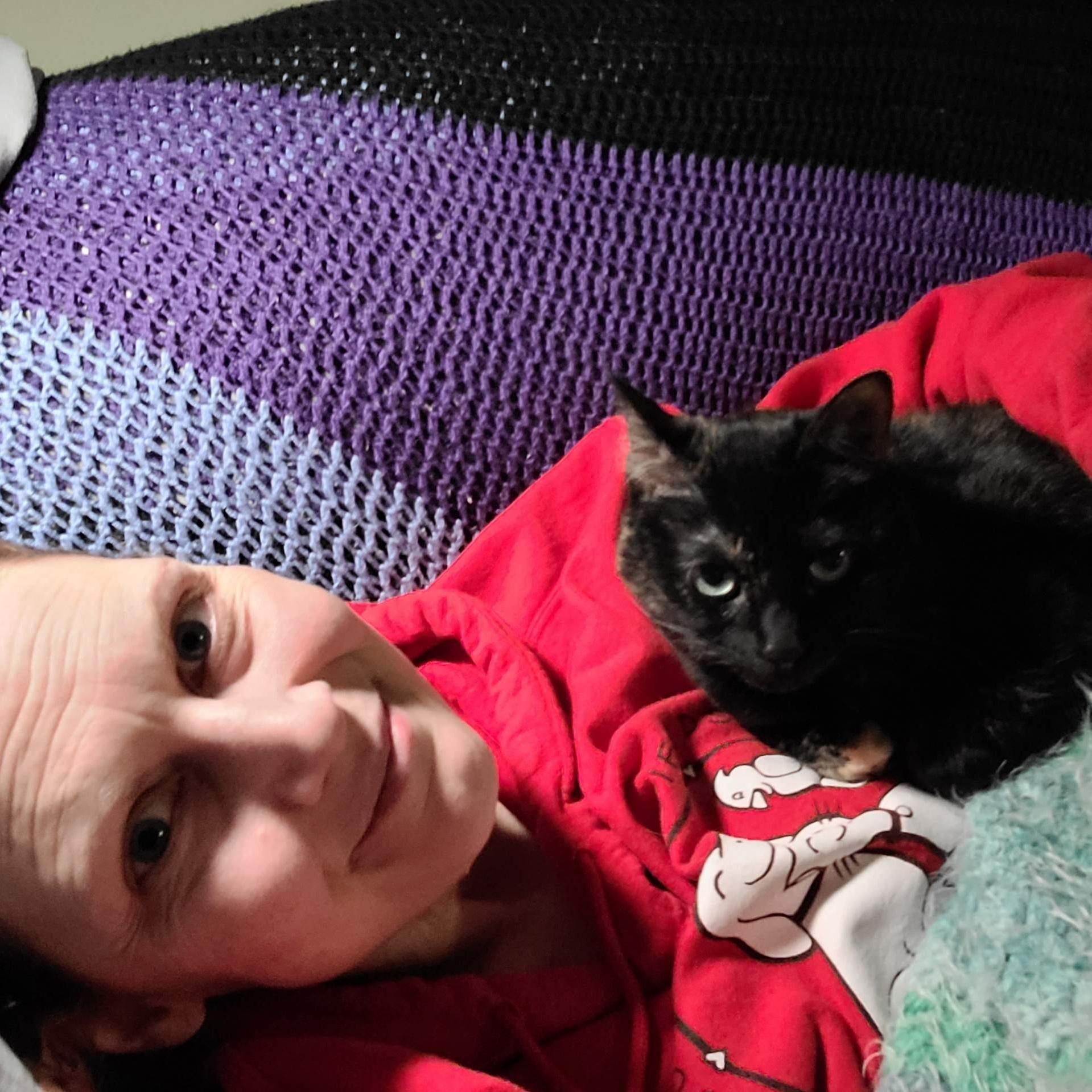 Spigot - Winterville, GA, a Adoptable mixed breed in Athens, GA image 6/6