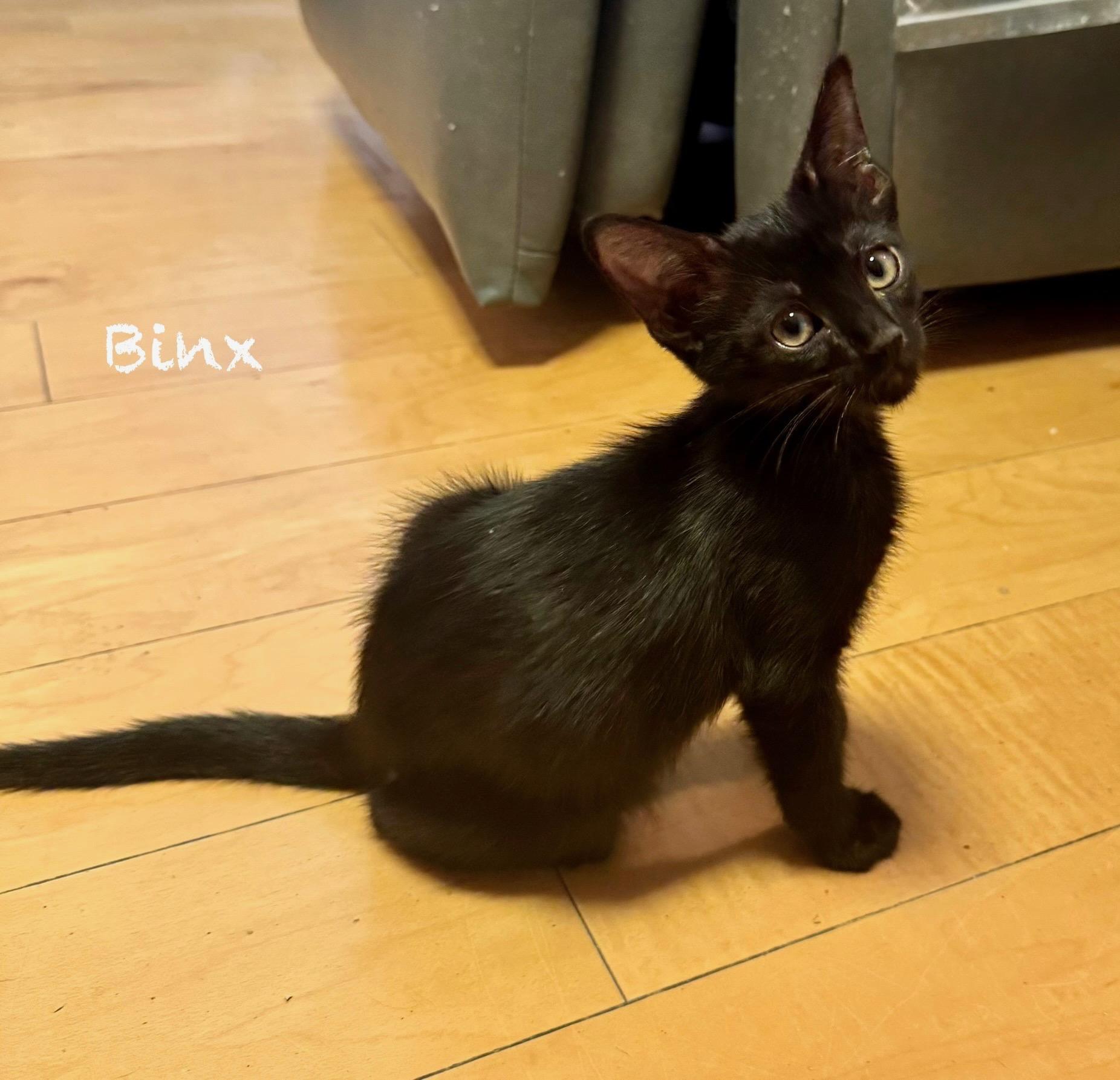 Binx