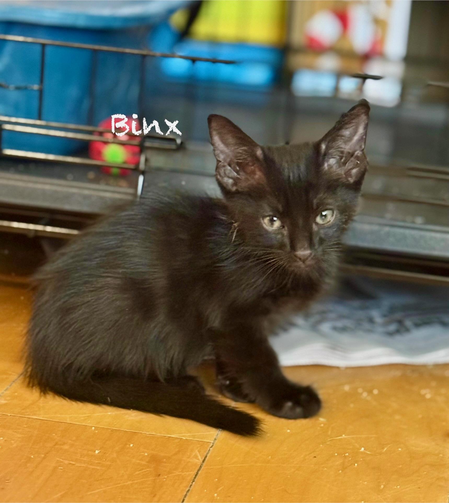 Binx
