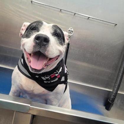 Diamond — thumbnail 2