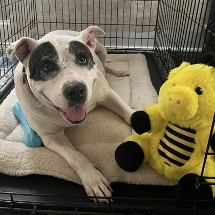 Diamond — thumbnail 3