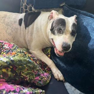 Diamond — thumbnail 6