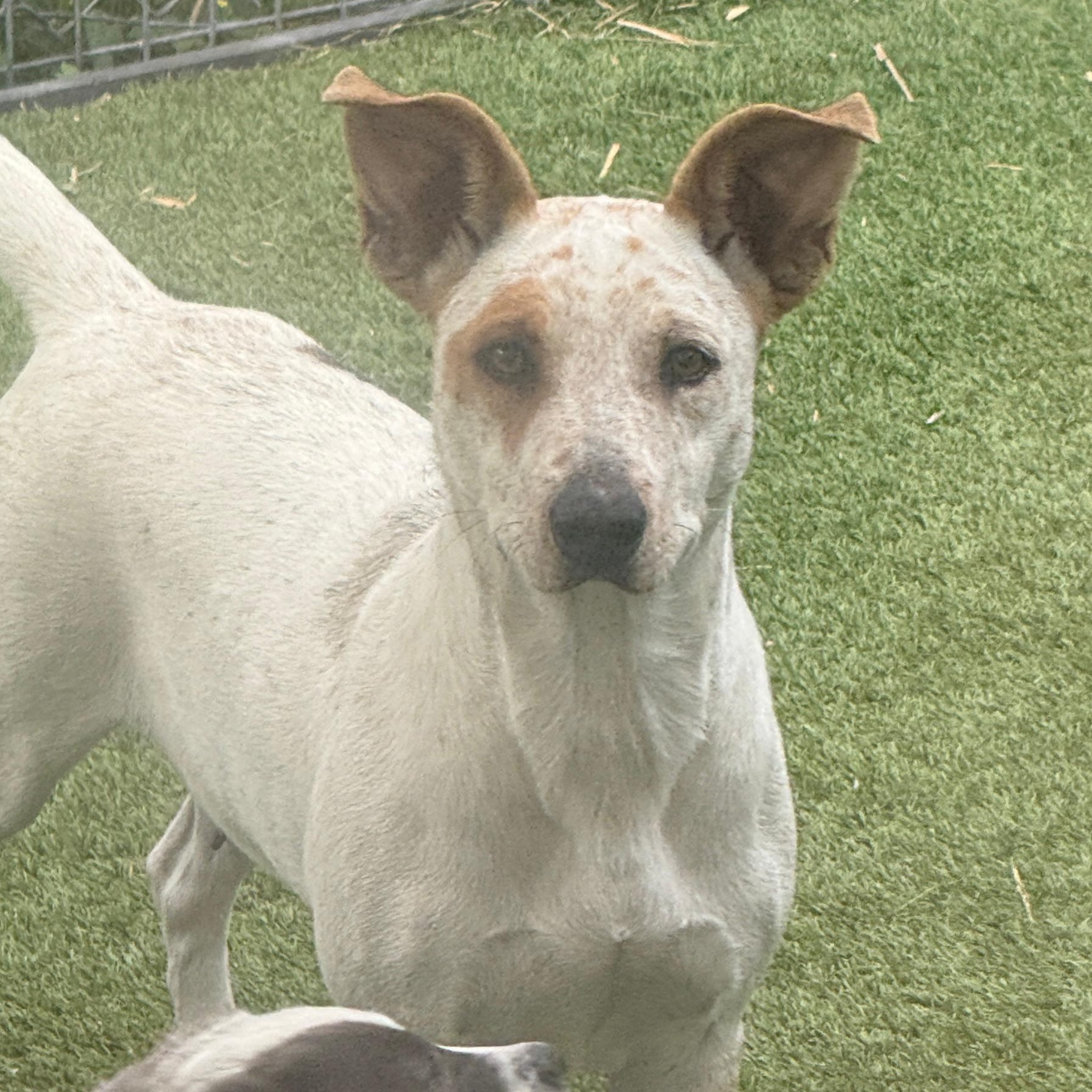 Emma — thumbnail 2