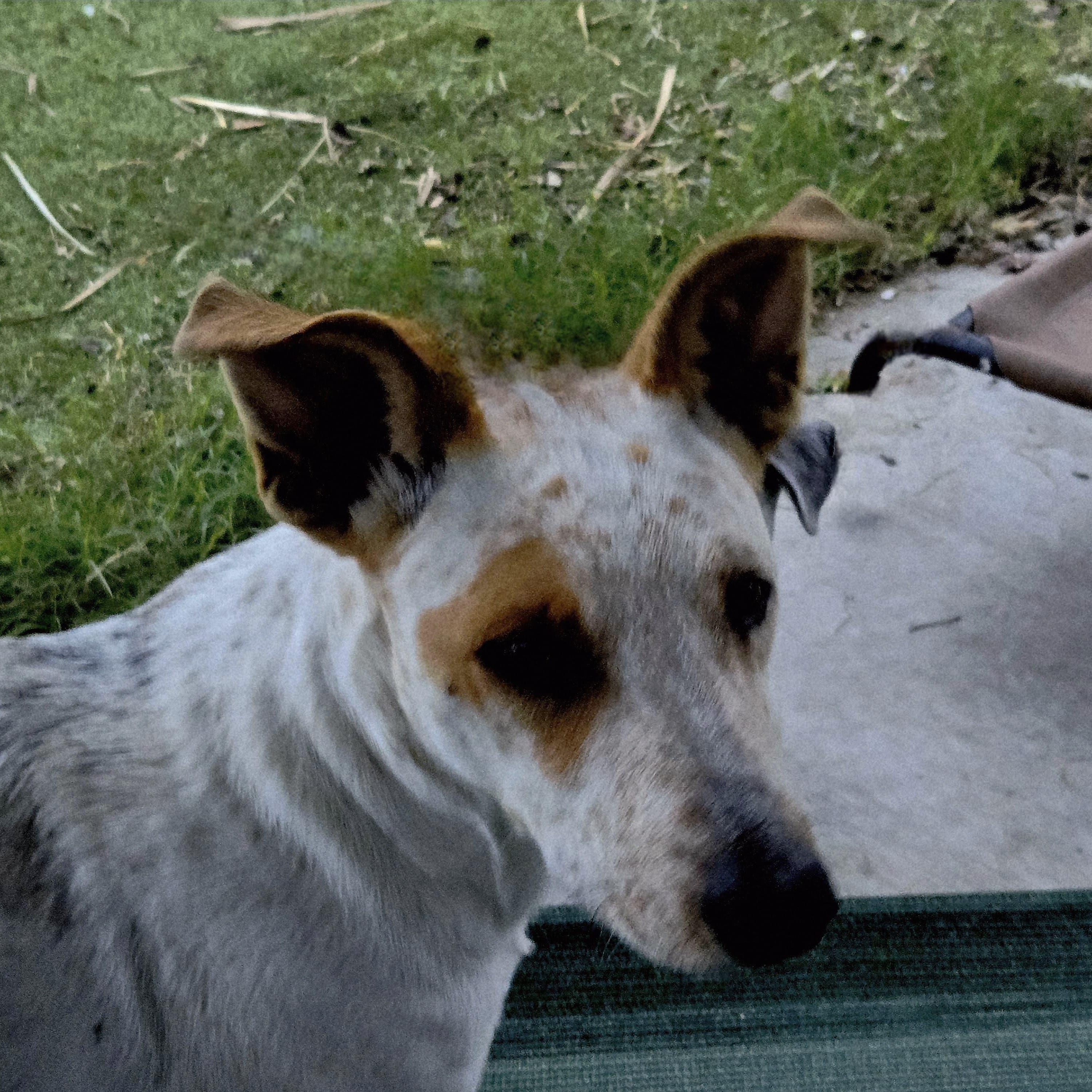 Emma — thumbnail 3