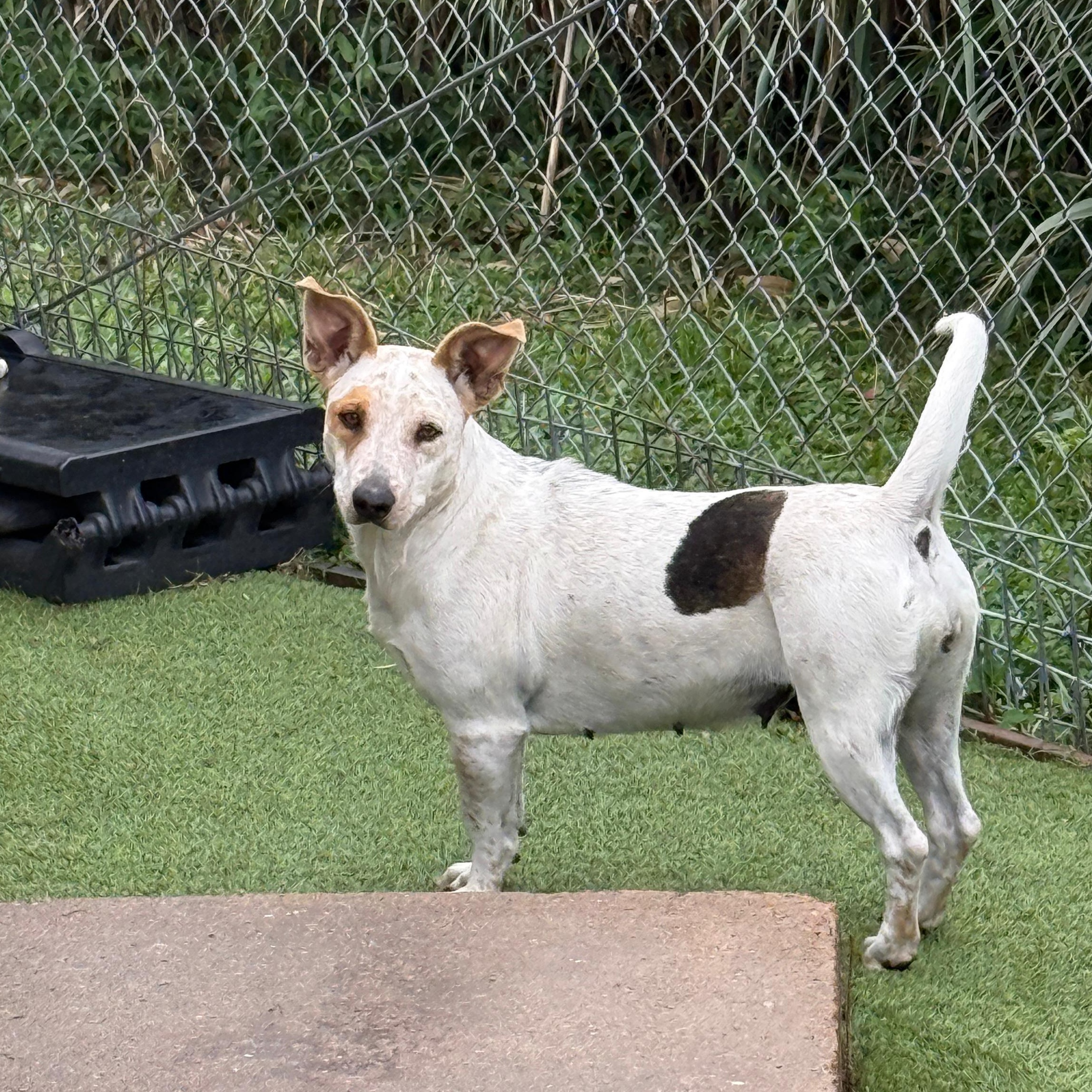 Emma — thumbnail 4