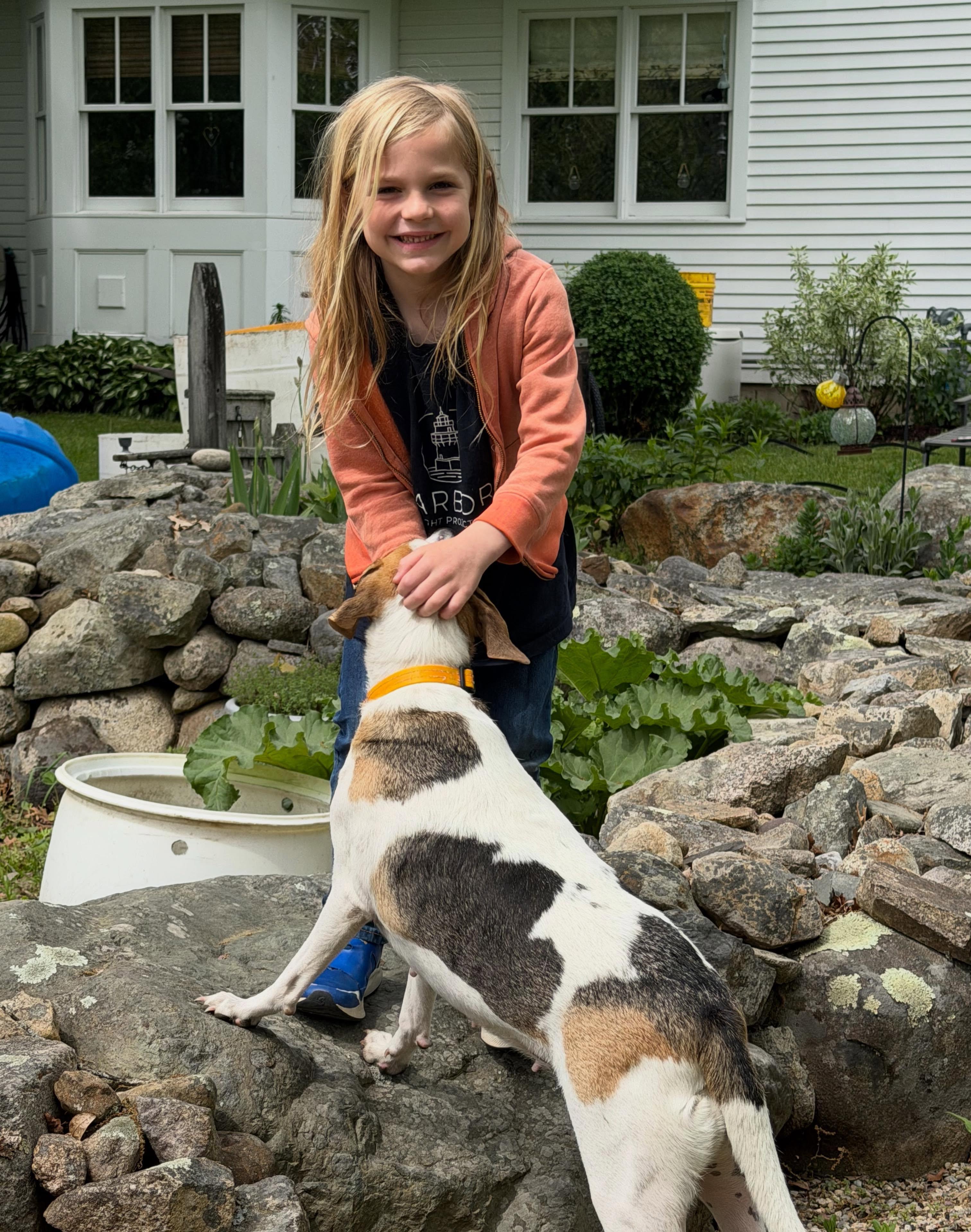 Enlarge Dali, an adopted mixed breed in Pawtucket, RI image 5/6