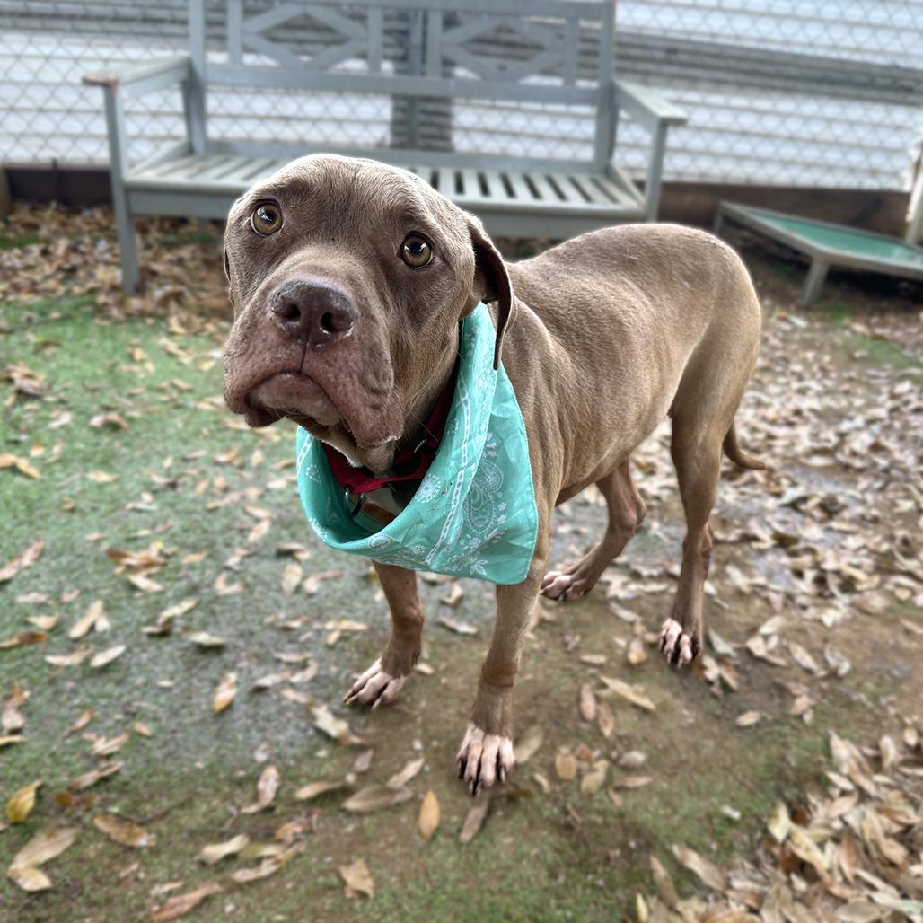 Princess Buttercup — thumbnail 4