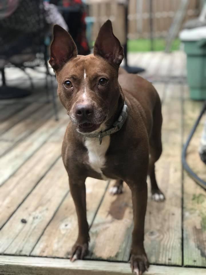Mocha photo 5