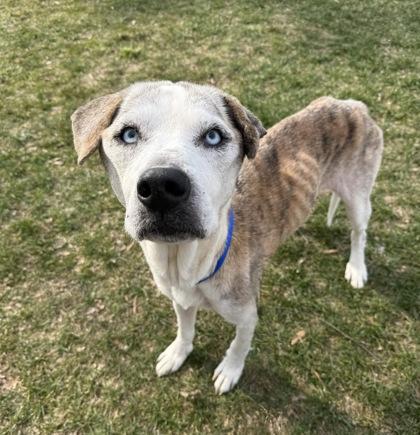 Skylar — thumbnail 2