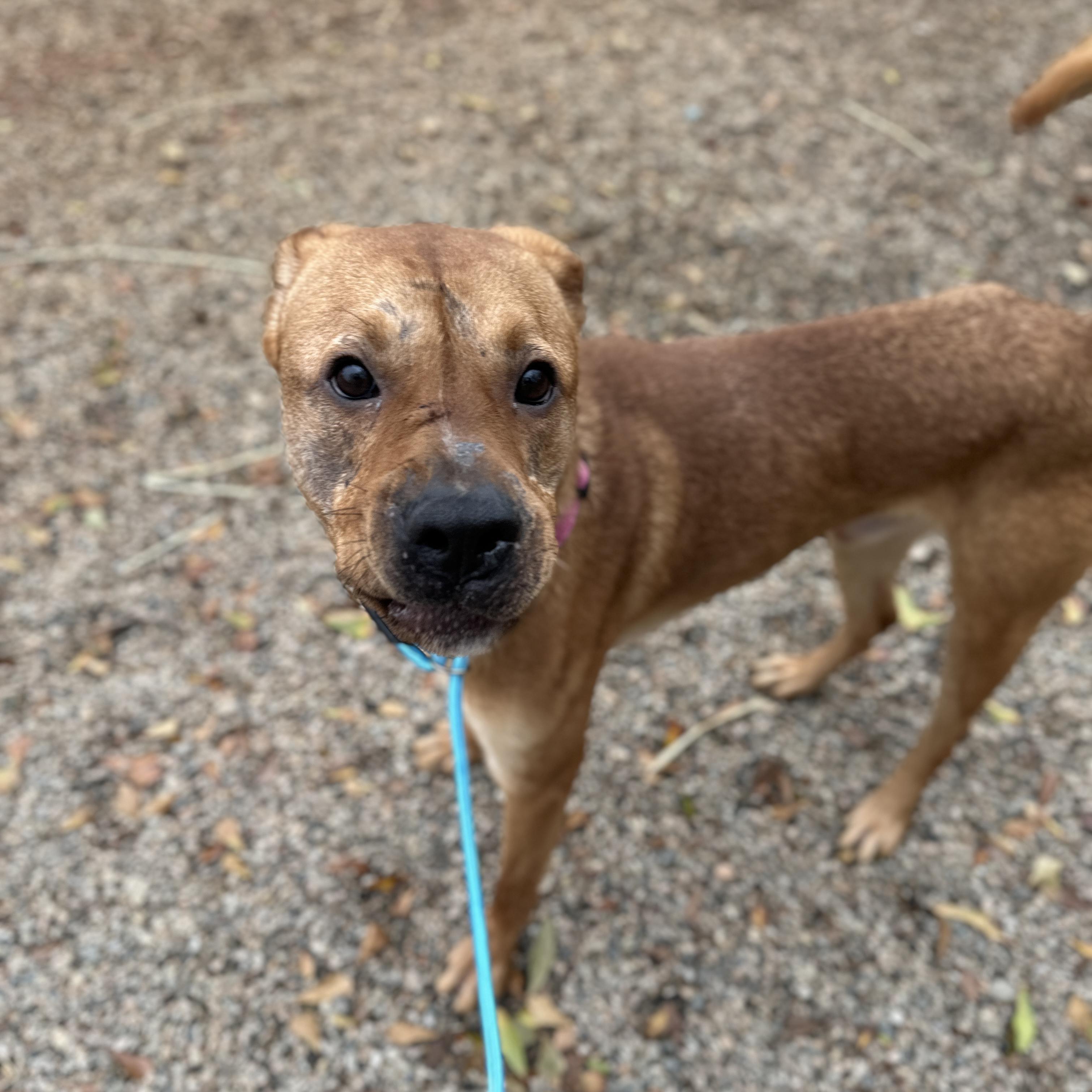 Jackpot — thumbnail 2