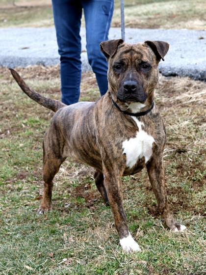 Niya — thumbnail 2