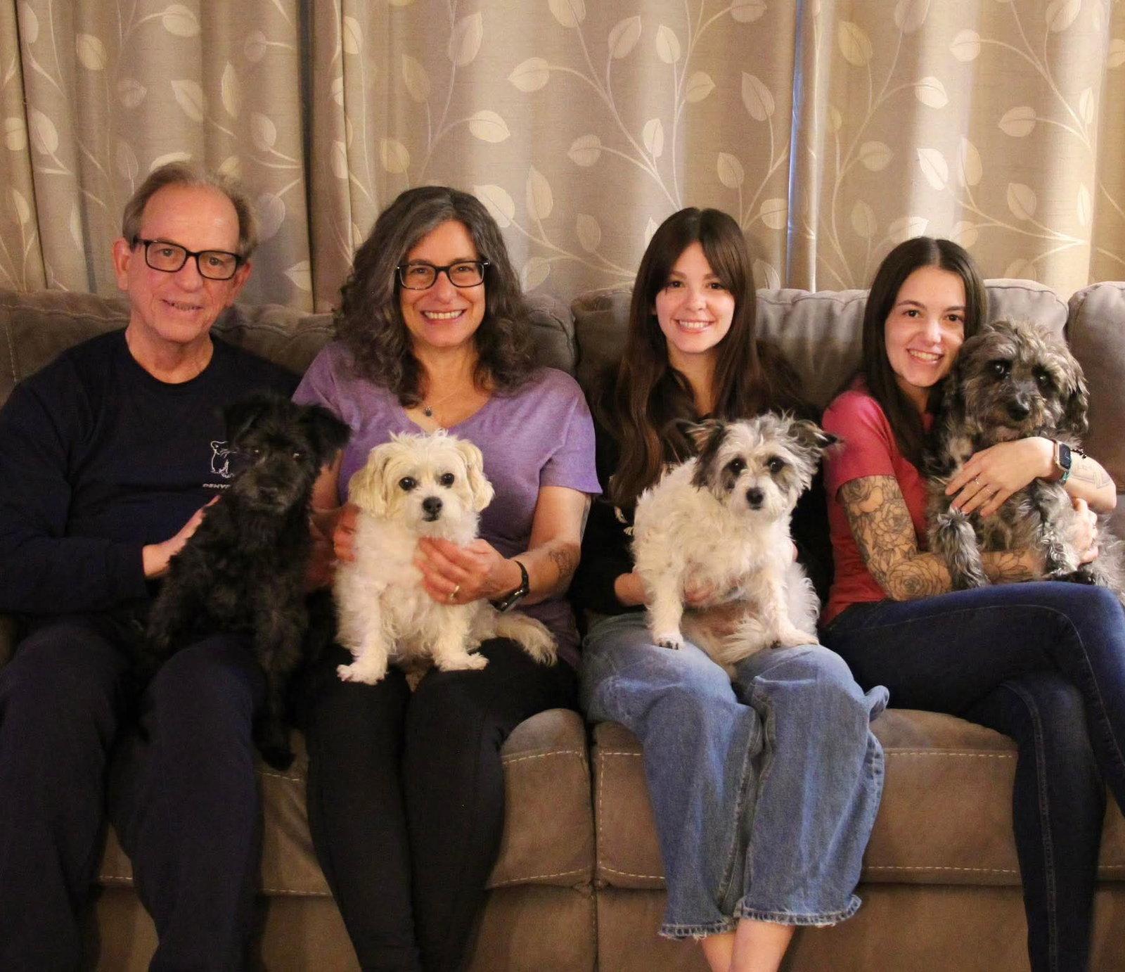 Nac's Mei Mei TX, a Adopted mixed breed in Boonton, NJ image 3/3