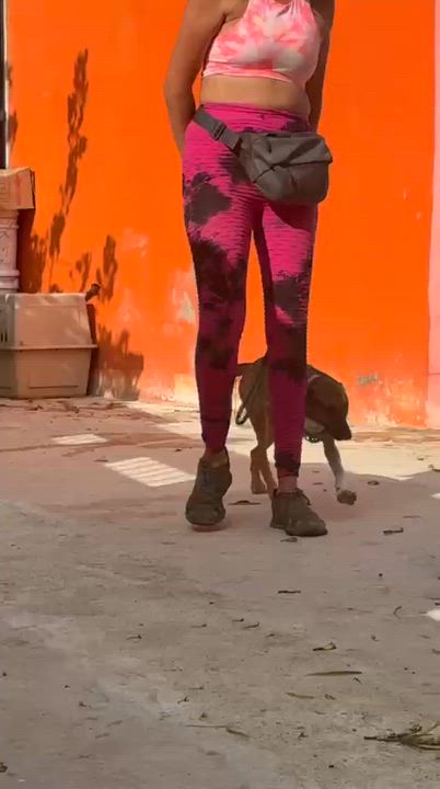Enlarge Socks, a ADOPTABLE mixed breed in New York, NY video 4/6