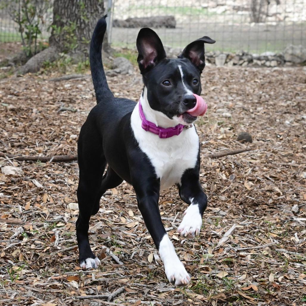 Diva Jean thumbnail 2