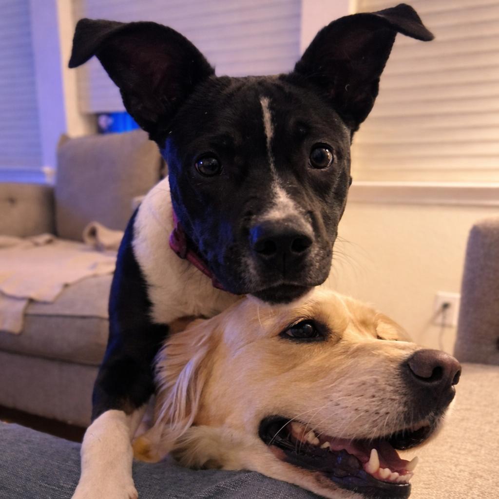 Diva Jean thumbnail 3