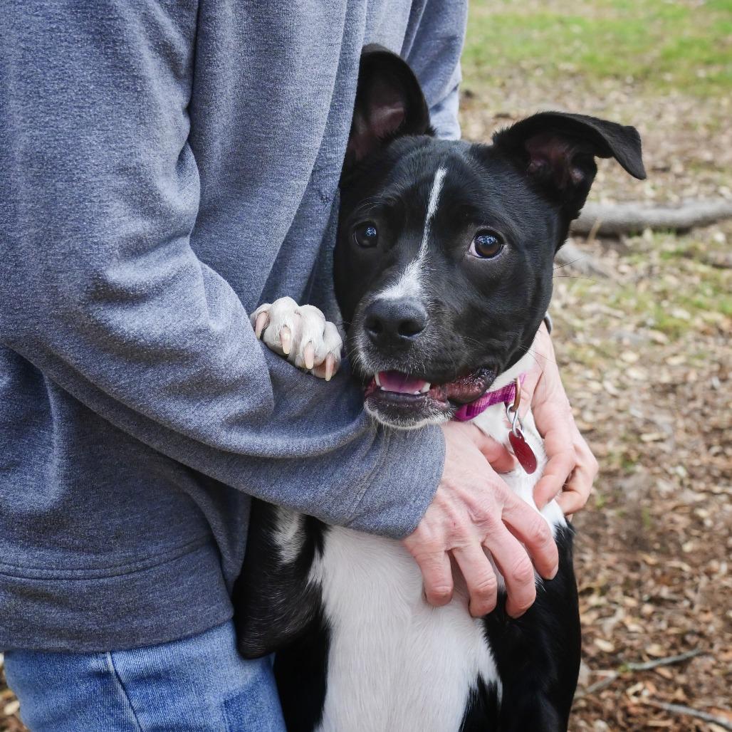 Diva Jean thumbnail 4