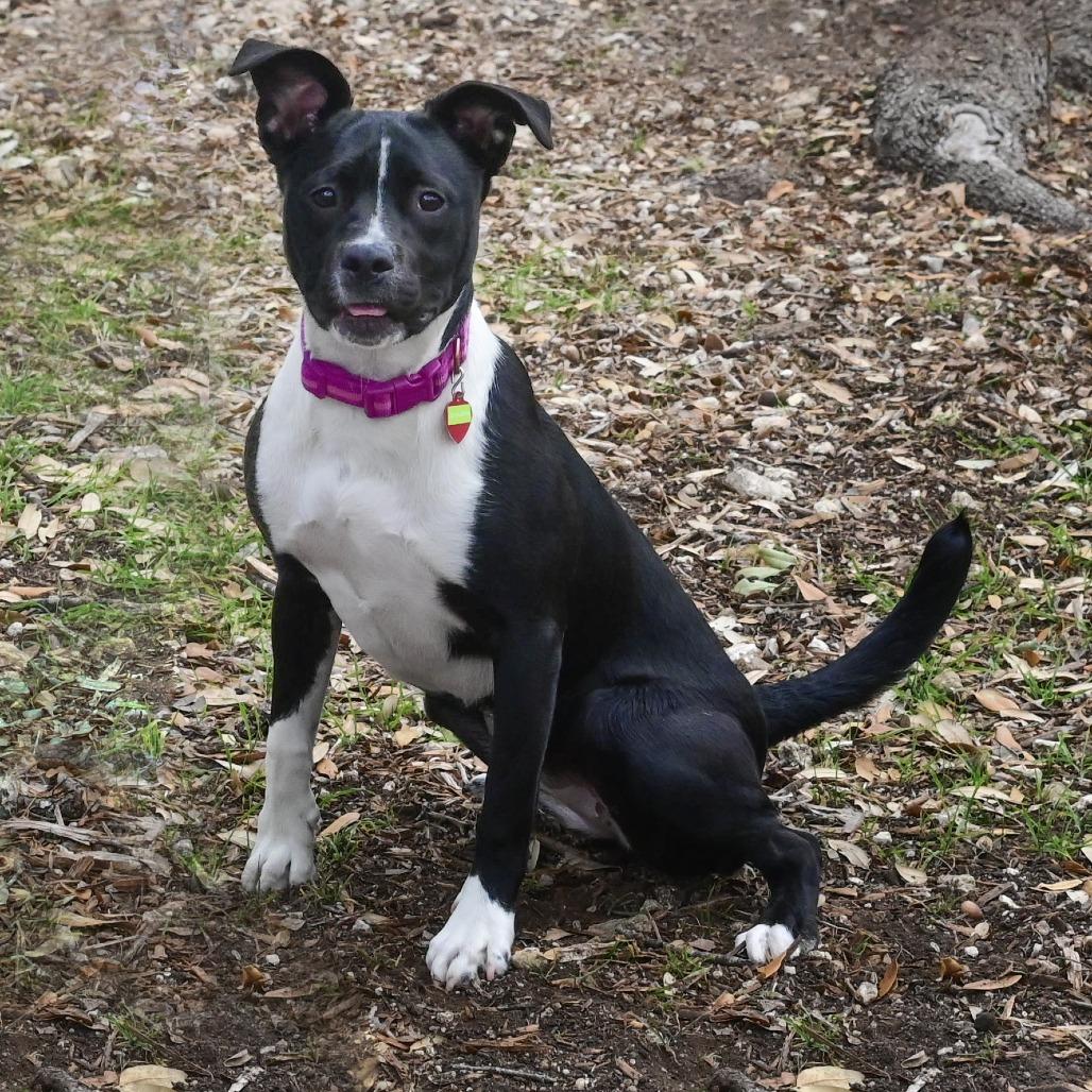 Diva Jean thumbnail 5