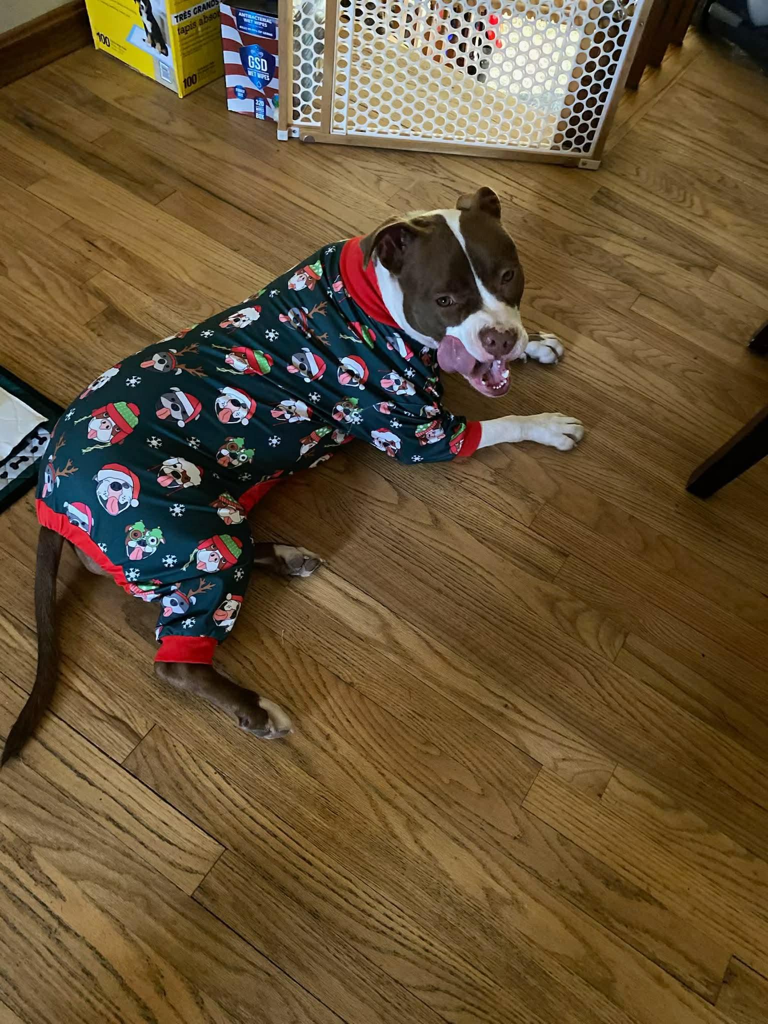 Gigi Michelle thumbnail 2