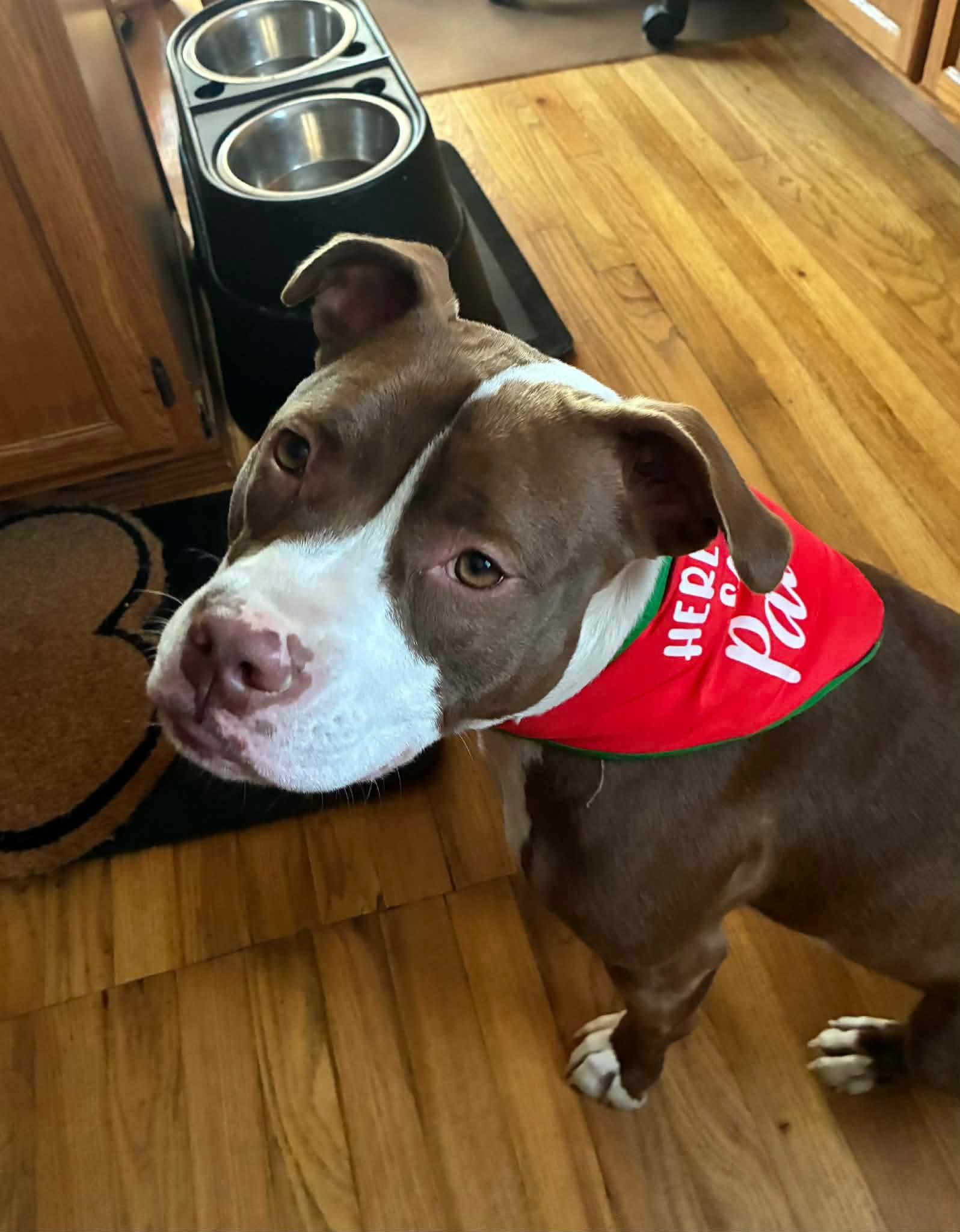 Gigi Michelle thumbnail 3