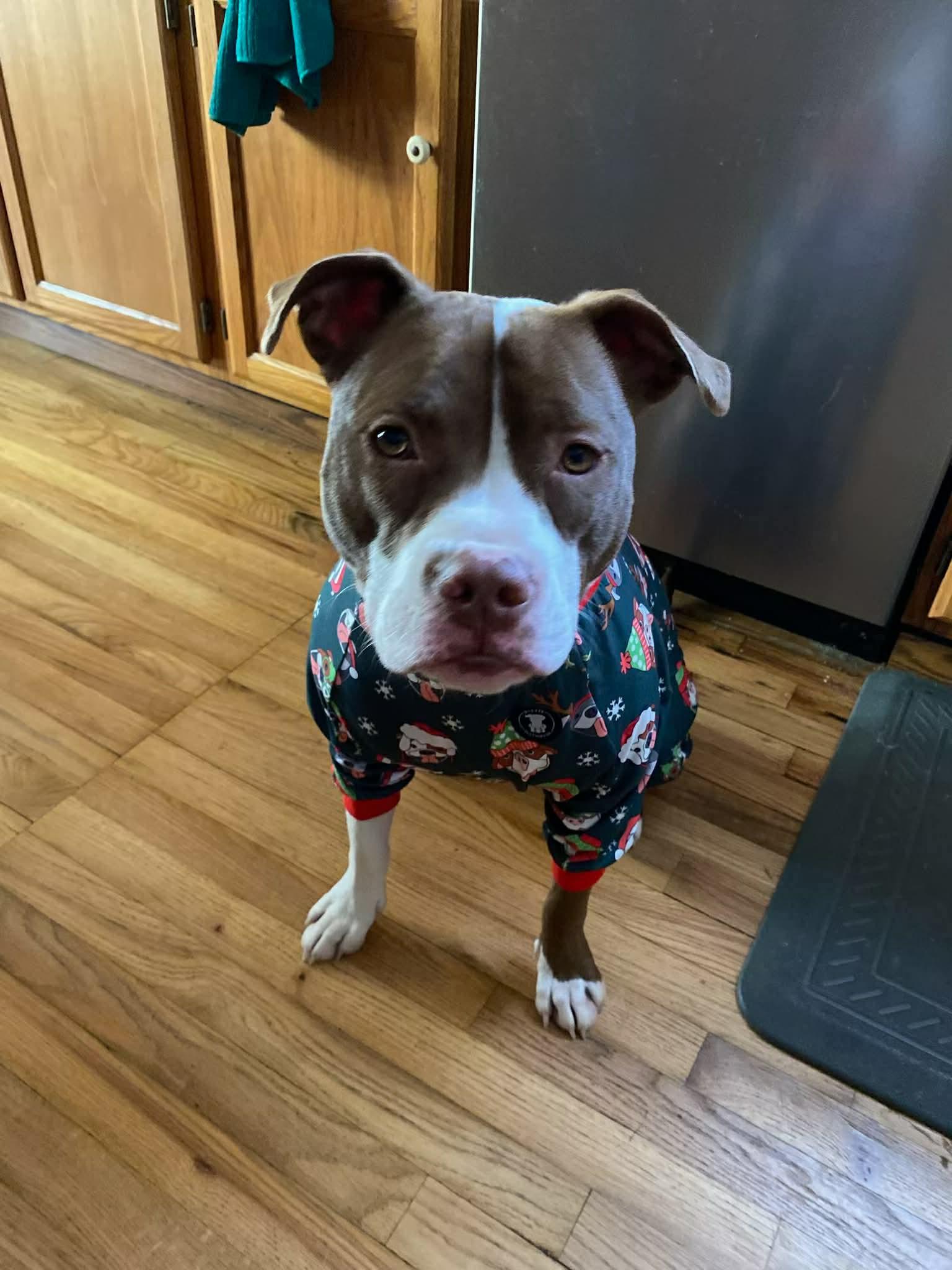 Gigi Michelle thumbnail 4