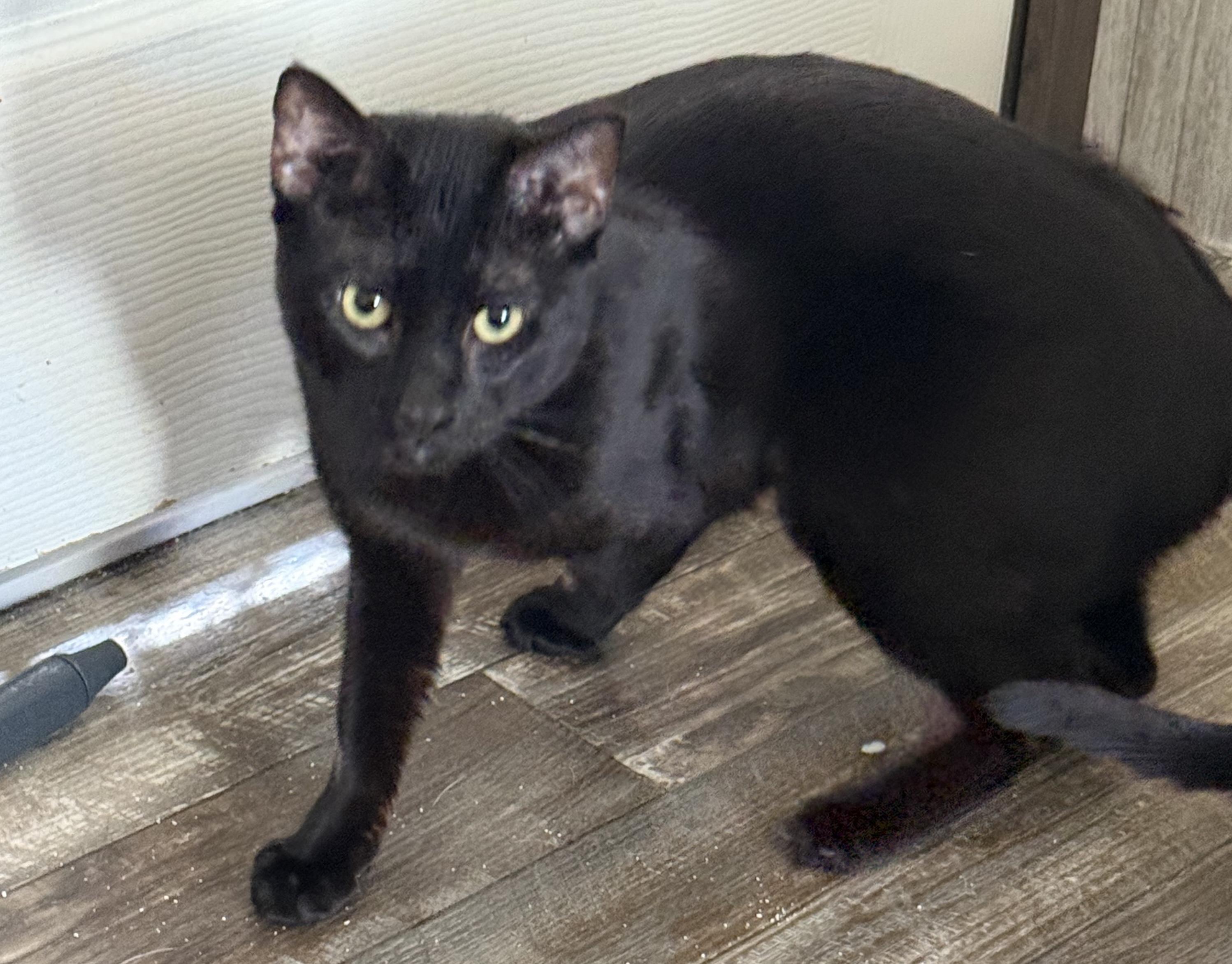Sebastian