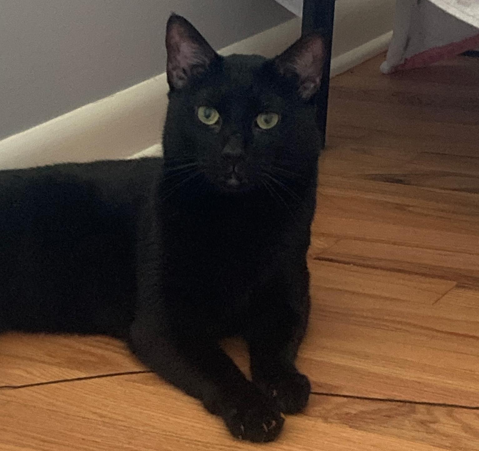 Sebastian
