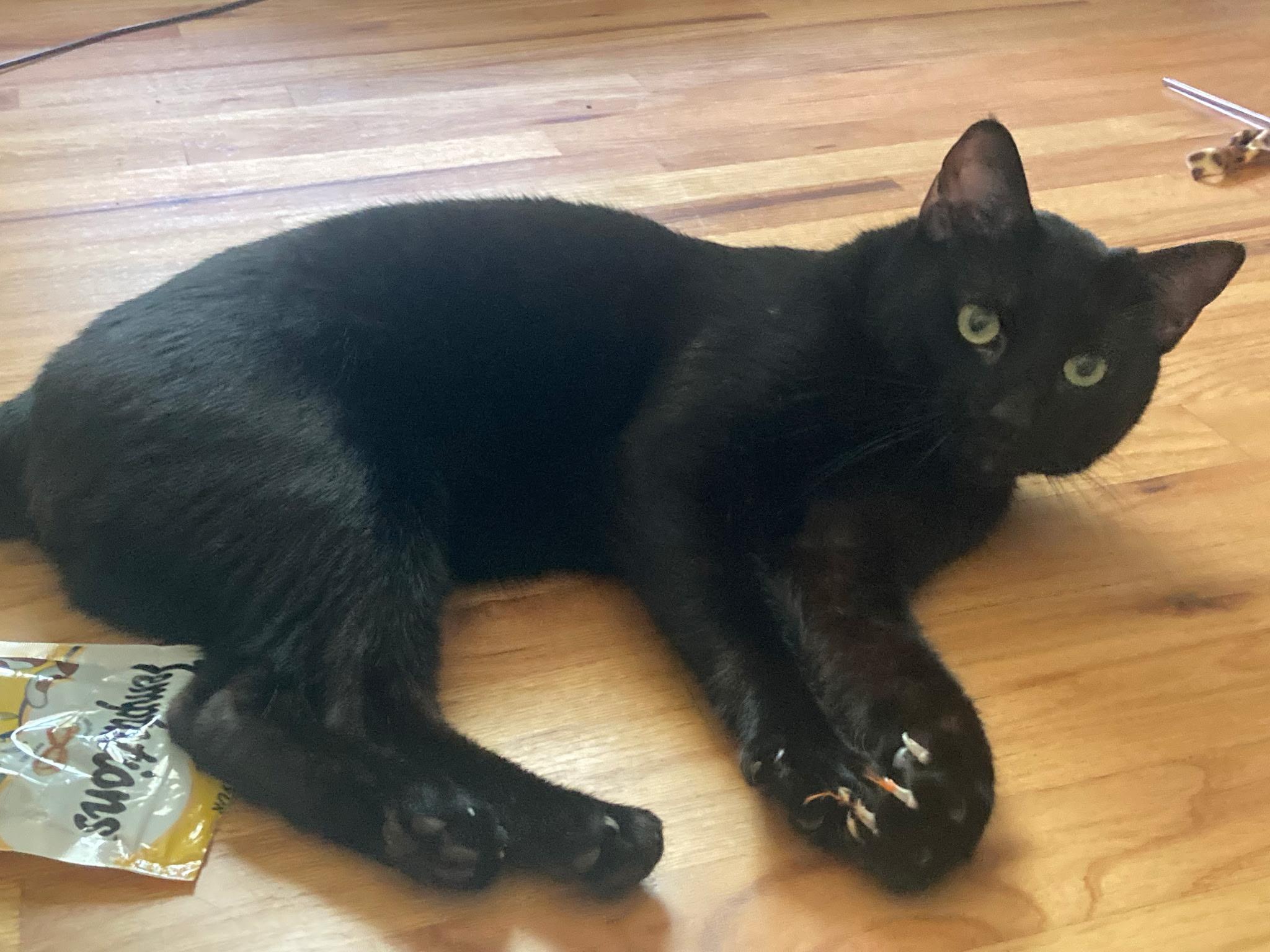 Sebastian