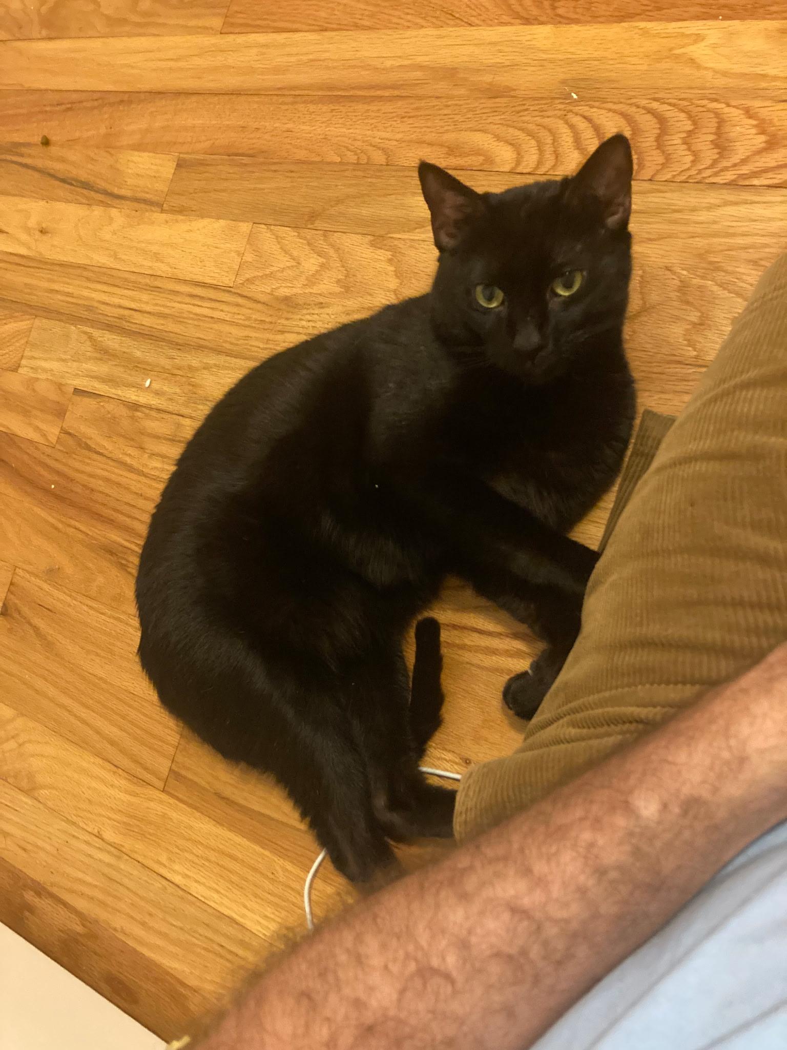 Sebastian