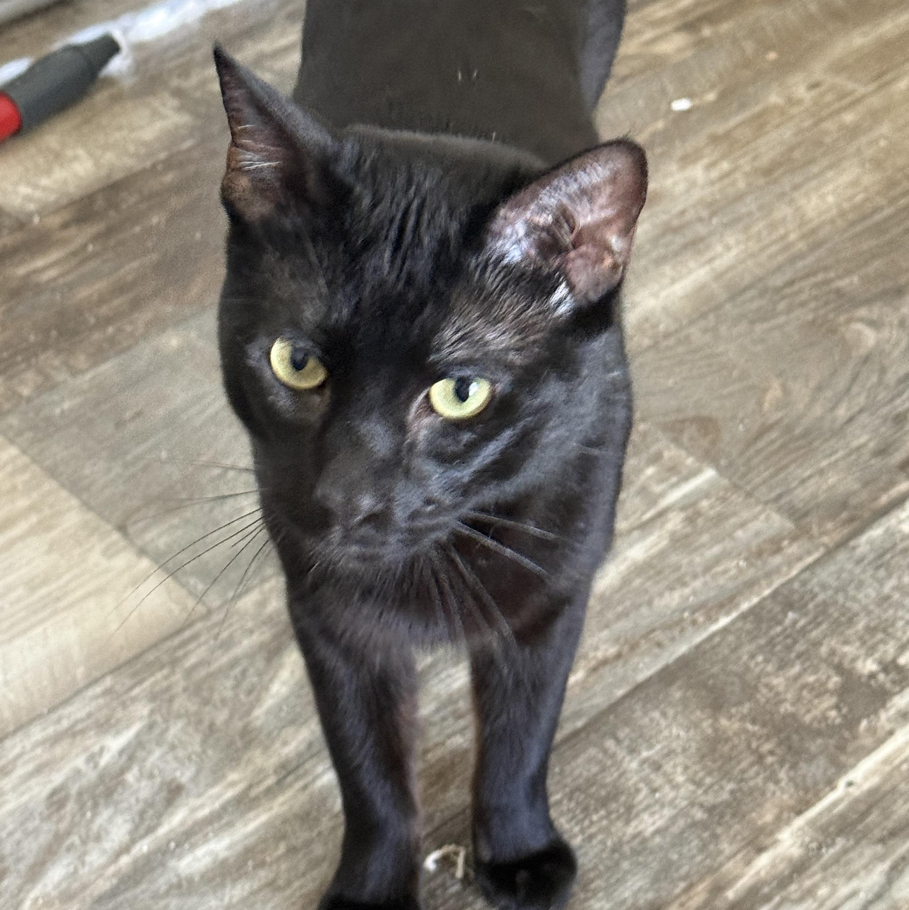 Sebastian