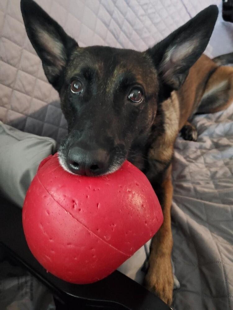 Onyx  Located In thumbnail 4