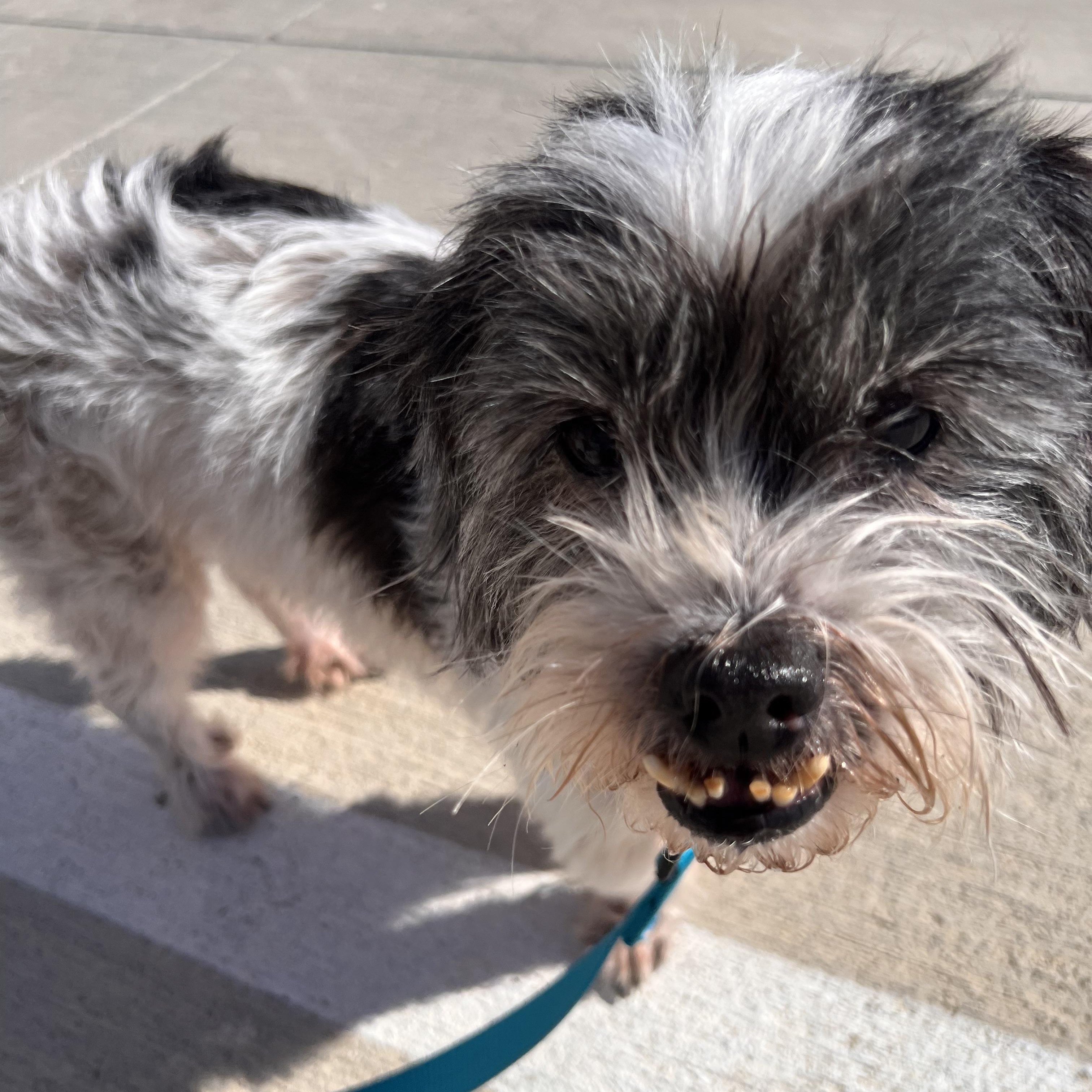 Bubba Turner — thumbnail 2