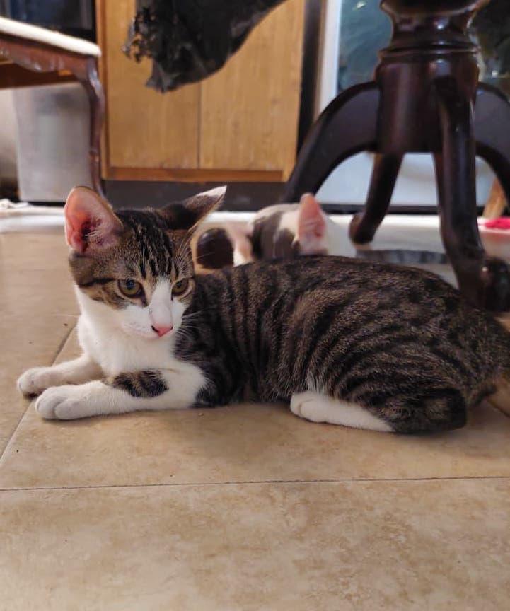 Bonney — thumbnail 3