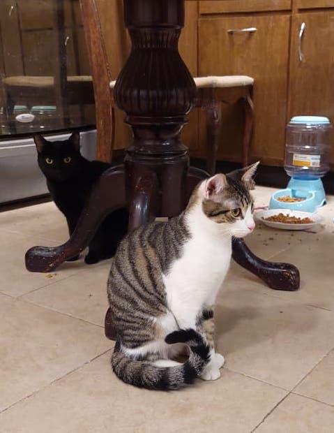 Bonney — thumbnail 4