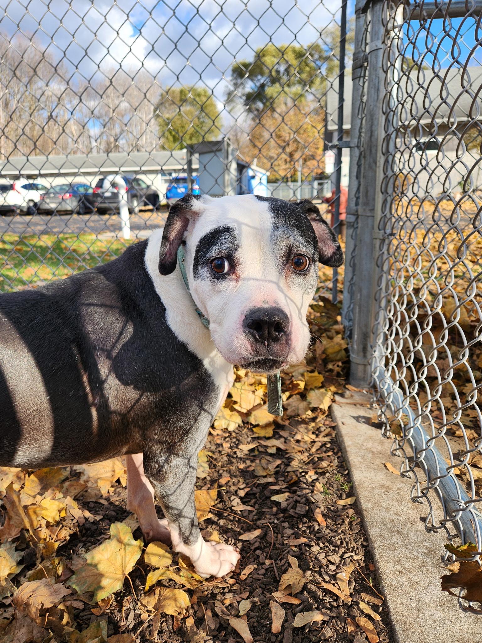 Ma Barker thumbnail 2