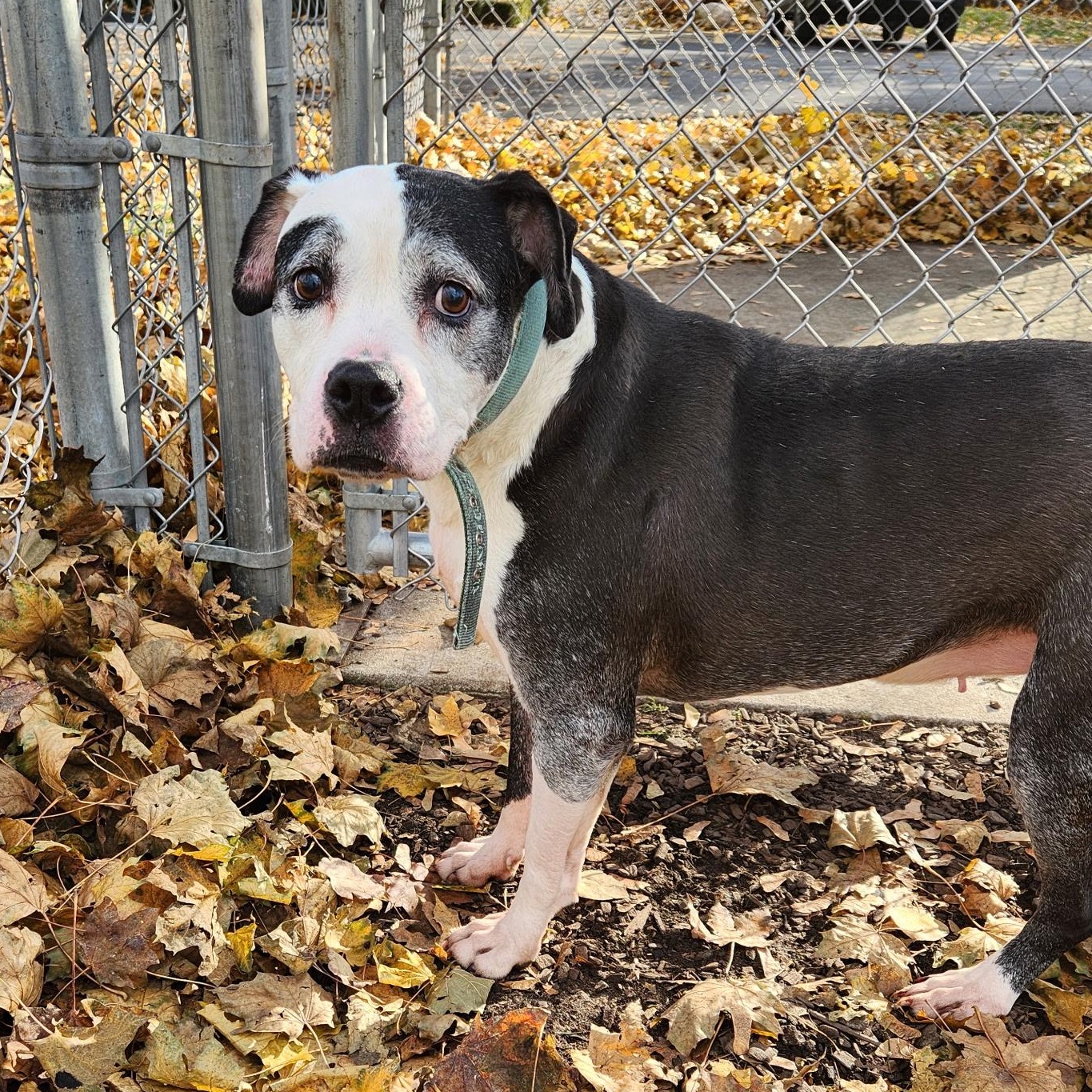 Ma Barker thumbnail 3