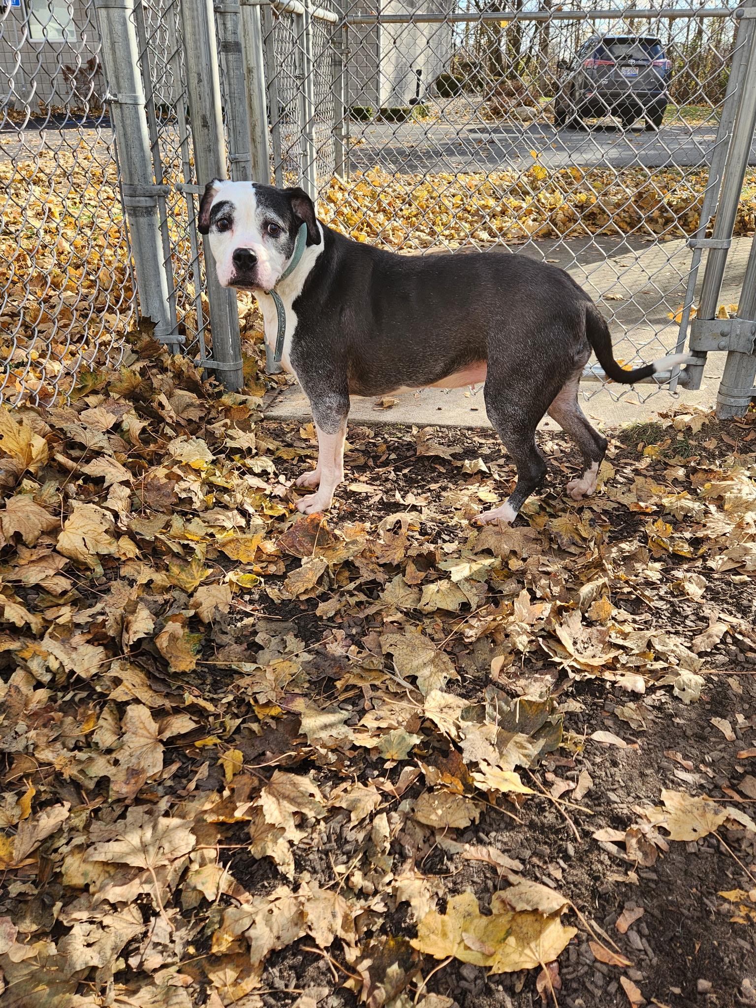 Ma Barker thumbnail 4