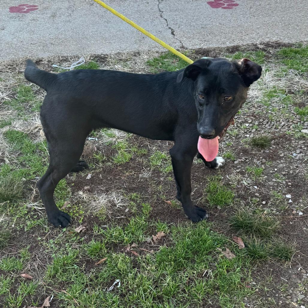 Tootsie* — thumbnail 2