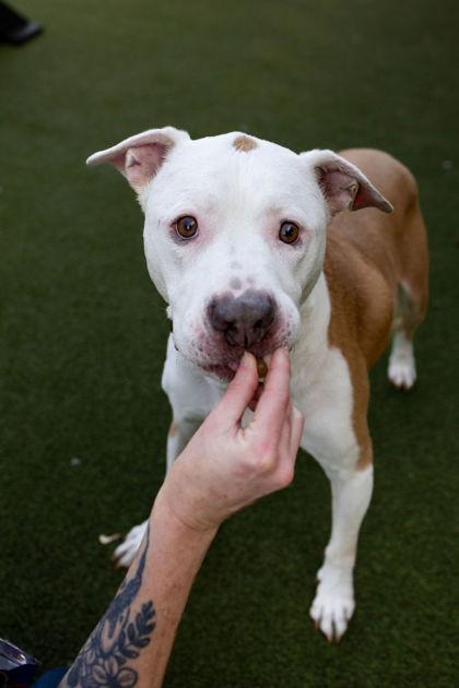 Winnie The Pooh — thumbnail 3