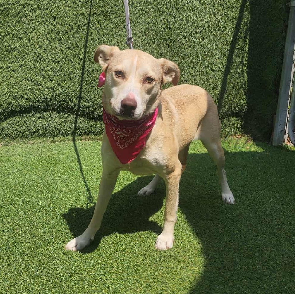 Betty — thumbnail 4