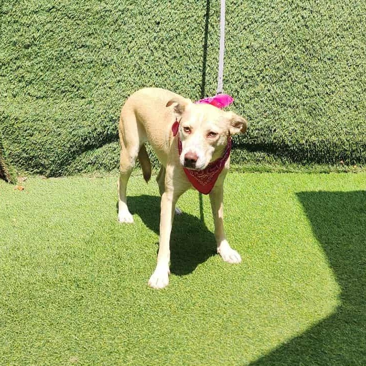 Betty — thumbnail 6