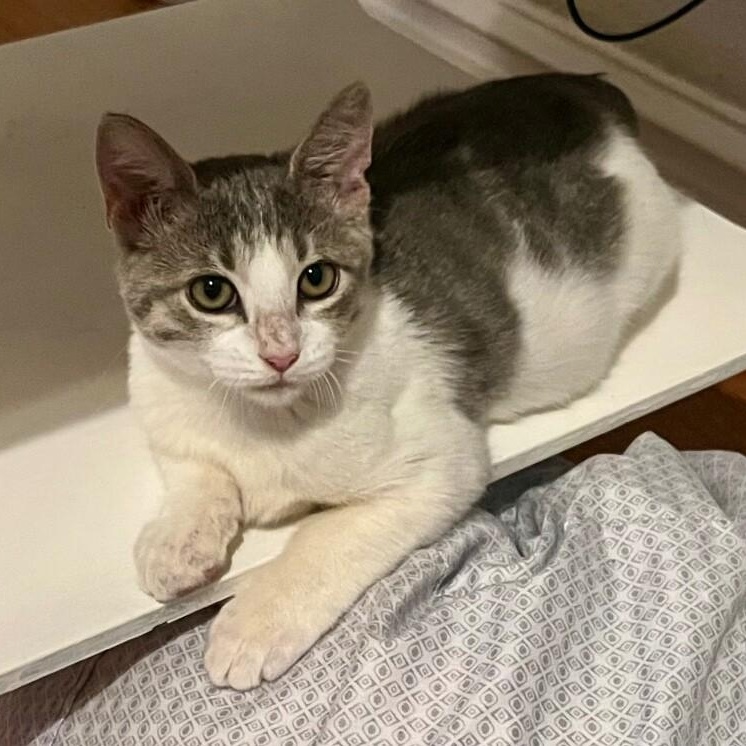 Meeny Baby — thumbnail 3